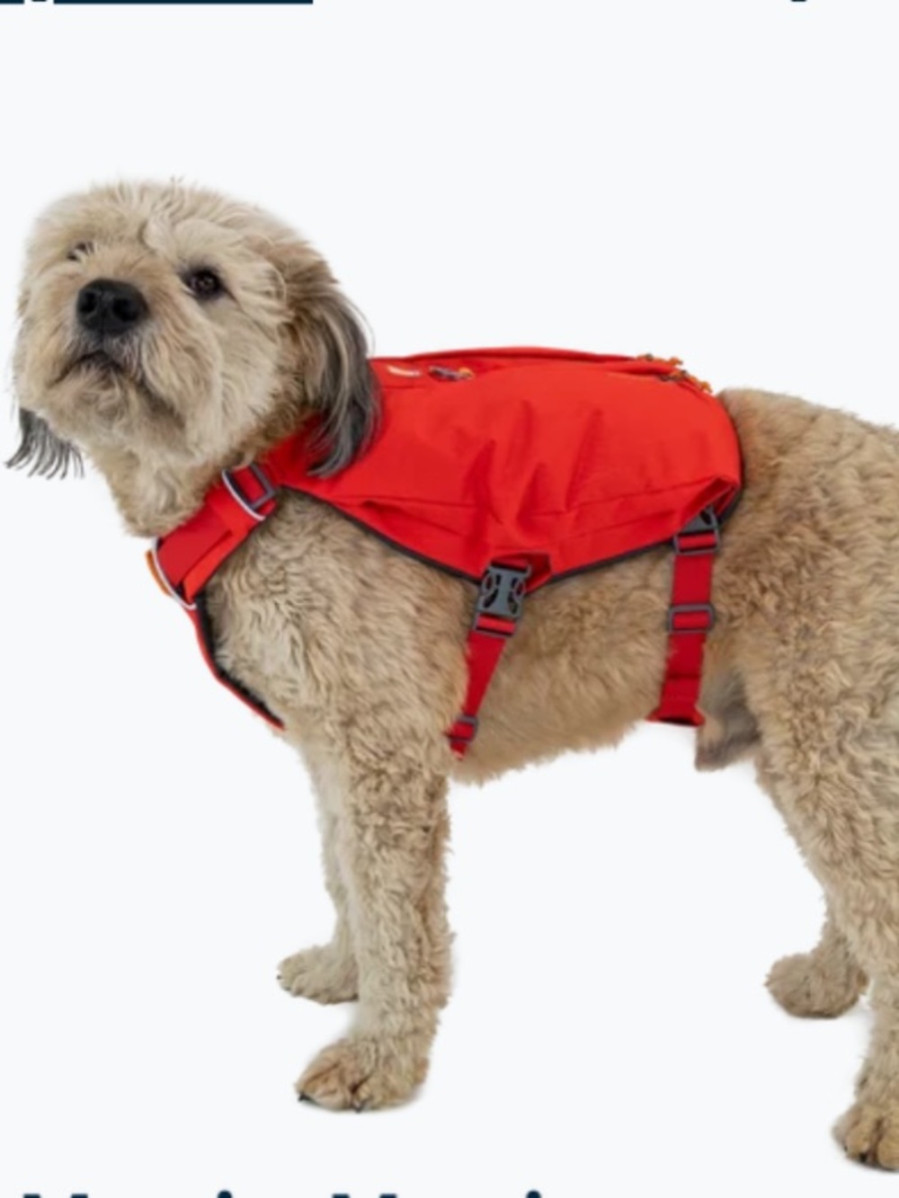 NWT Ruffwear Switchbak Dog Harness XS Red